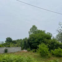 زمین آماده ساخت۲۰۰متر /دوبر/رشت لشت نشا|فروش زمین و ملک کلنگی|رشت, گلسار|دیوار