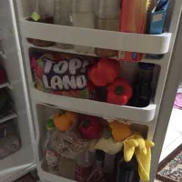 یخچال هتلی|یخچال و فریزر|تهران, منیریه|دیوار