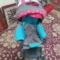 کالسکه|کالسکه و لوازم جانبی|اقبالیه, |دیوار