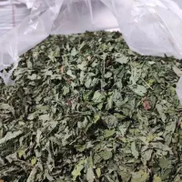 نعنا خشک موجود است