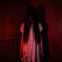 اکتور برای سینما وحشت Cold Room (خانم)