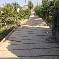 باغ