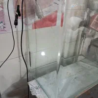 آکواریوم شیشه خم|ماهی|فردیس, سرحدی|دیوار