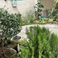 115-مترتیسفون-تکواحدی