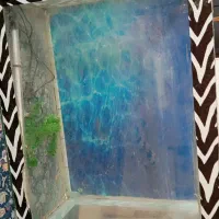 آکواریوم|ماهی|قم, انسجام|دیوار