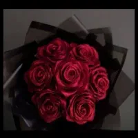 گل های جاودان|گل و گیاه طبیعی|سهند, |دیوار