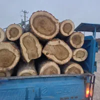 خریدار چوب خشک و تر|خدمات باغبانی و درختکاری|نیر (اردبیل), |دیوار