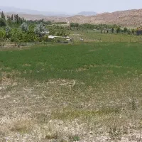 زمین کشاورزی به مساحت 2511 متر با سند تک برگی|فروش زمین و ملک کلنگی|فیروزکوه, |دیوار
