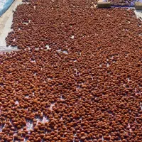 آلو خورشتی افتابی ارگانیک بخارا نمکی