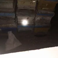 کندو زنبور عسل