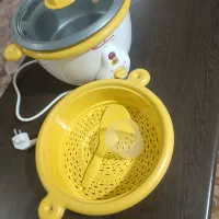 پلوپز بخار پز مولینکس