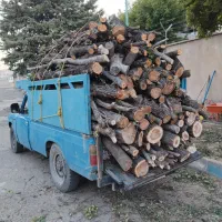 خرید انواع چوب و تیر خشک و تر