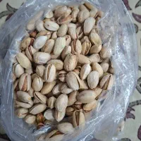 پسته خام درجه ۱