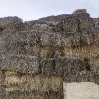 پرس‌‌کاه|لوازم جانبی حیوانات|شوط, |دیوار