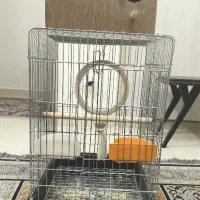 قفس عروس هلندی مینا طوطی