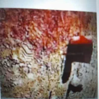 زمین-کشاورزی-جهت-پنل-برقی