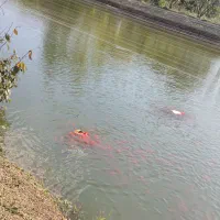 ماهی قرمز ۲ بند|ماهی|سنگر, |دیوار