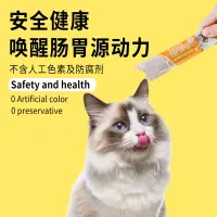 بستنی گربه Mr.Peabody امگا ۳ دار فروش عمده