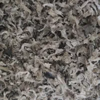 تفاله خشک چغندر پرک