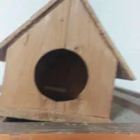 یک مرغ مینا زیبا دوقفس بالانه چوبی|پرنده|پردیس, فاز ۲|دیوار