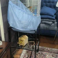 قفس طوطی  با پایه نو