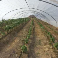 گلخانه و دامداریو شیلات