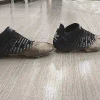 استوک|کیف، کفش، کمربند|شهریار, شهریار|دیوار