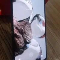 Xiaomi 12t pro