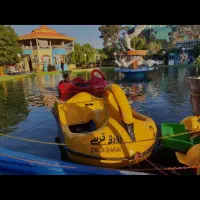 قایق پدالی قو دونفره و چهارنفره