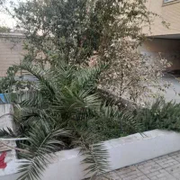 59متر/ وام دار/سه راه حافظیه|فروش آپارتمان|فردیس, سرحدی|دیوار