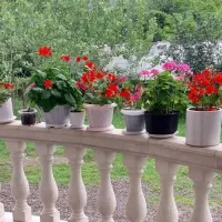 ویلا‌ماسوله‌جنگلی‌ونزدیک‌به‌رودخانه