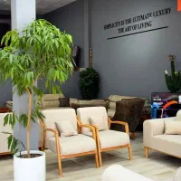 گیاه آمستل برای کنار مبل