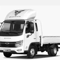 فورس ۳.۸تن دوگانه