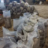 تفاله ی خرما|لوازم جانبی حیوانات|ارومیه, |دیوار