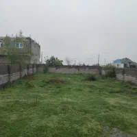 بام سبز 300 متر سند تک برگ|فروش زمین و ملک کلنگی|رضوانشهر, |دیوار