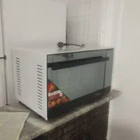 توستر درحد آک بدون استفاده