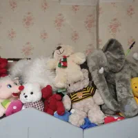 عروسک نو|اسباببازی بچه|ری, دیلمان|دیوار