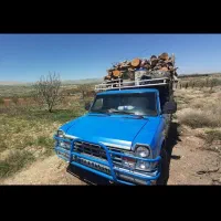 برش و حرس درخت