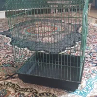 قفس بزرگ