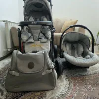 سرویس کالسکه دلیجان