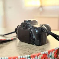 دوربین Canon  80D|دوربین عکاسی و فیلم‌برداری|شیراز, دشت چنار|دیوار