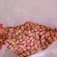 فروش پسته امسالی دامغان|خوردنی و آشامیدنی|مشهد, پردیس|دیوار