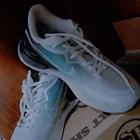 کتونی|کیف، کفش، کمربند|قم, شهر قائم|دیوار