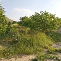 فروش یک قطعه باغ|فروش دفتر صنعتی، کشاورزی، تجاری|خمین, |دیوار