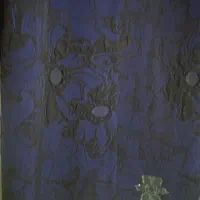 مانتو ژاکارد سرمه ای  و پالتو پشمی دارچینی|لباس|گرگان, |دیوار