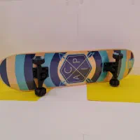 اسکیت برد حرفه ای