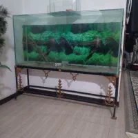 آکواریوم ابعاد یگ ونیم‌در‌هفتاد