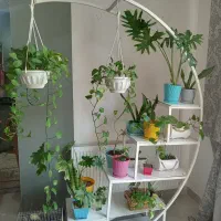 استند گل و گیاه