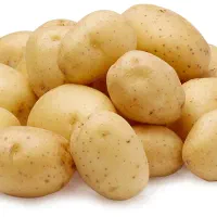سه تن سیب زمینی بذری سانتا 1402
