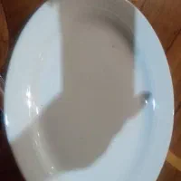 دیس چینی زرین|ظروف سرو و پذیرایی|تهران, نیلوفر|دیوار